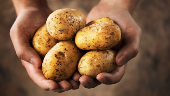 Obrázek Brambory BIO