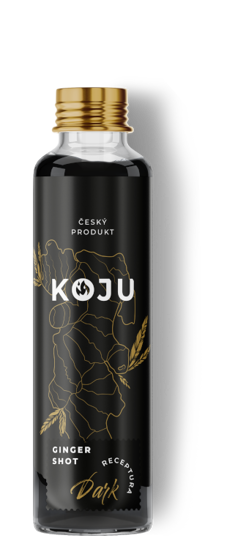 Obrázek Dark ginger shot 40ml Koju