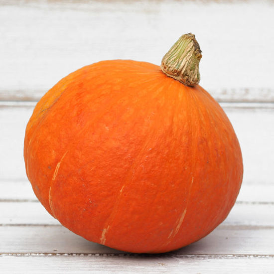 Obrázek Halloween dýně Rohoznice