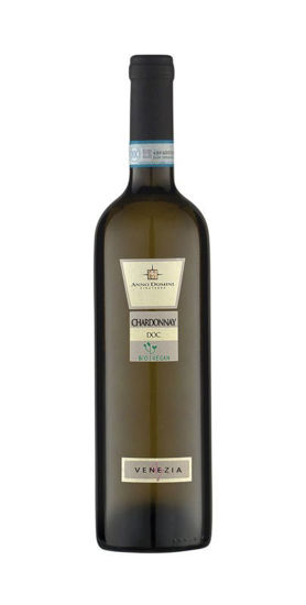 Obrázek Chardonnay DOC Venezia BIO Vegan 0,75