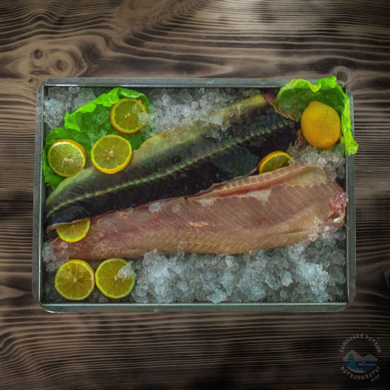 Obrázek Jeseter sibiřský filet Pstruhaštví Mlýny